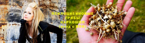 ECSTASY Баксан
